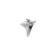 files/SharkTooth1silver.png