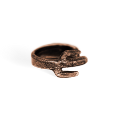 Saguaro Ring