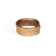 products/Scale_Ring_Champagne.png