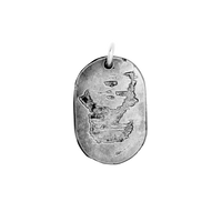 Fragmentary Youth