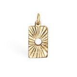 Gemini 1