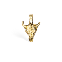 Bull Skull