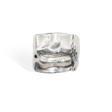 Kiss: The Ring