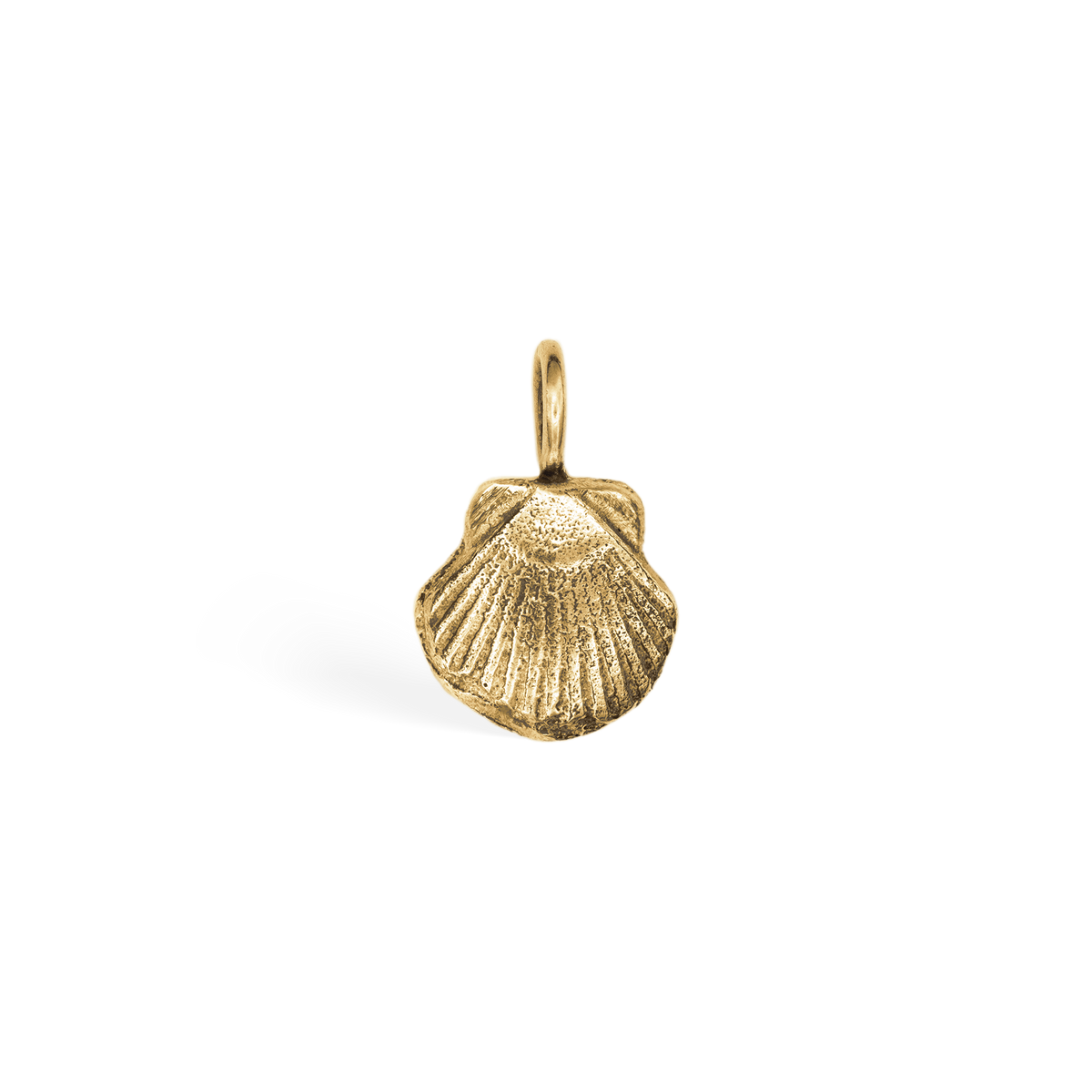 Sea Shell