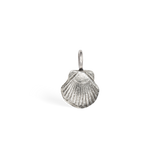 Sea Shell