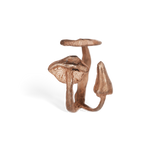 Shroom